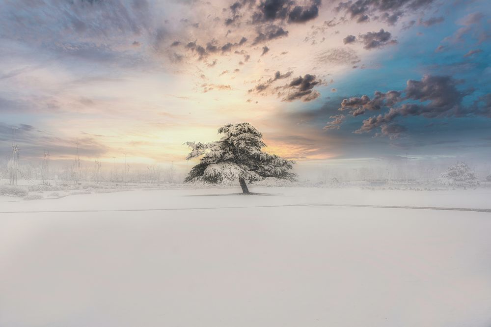 Photograph by Yashar Askari