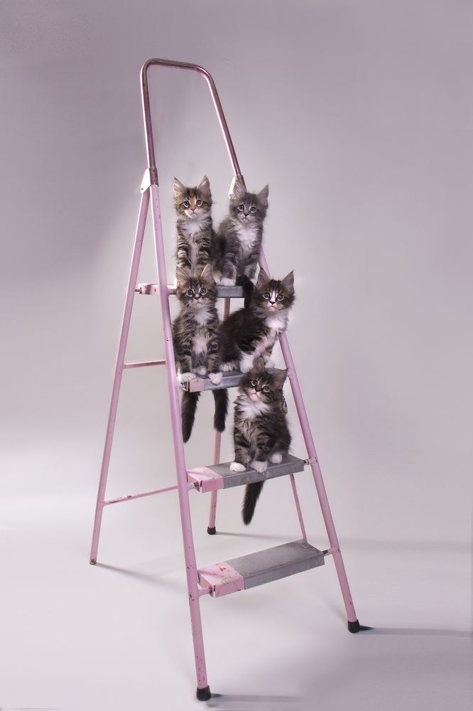 Photograph by Ирина Мамонова