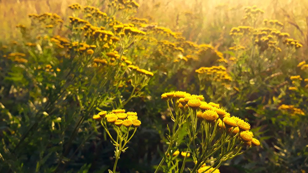 Фотография автора Konstantin