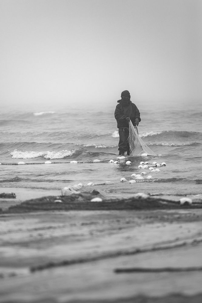 Photograph by Goldisgholami