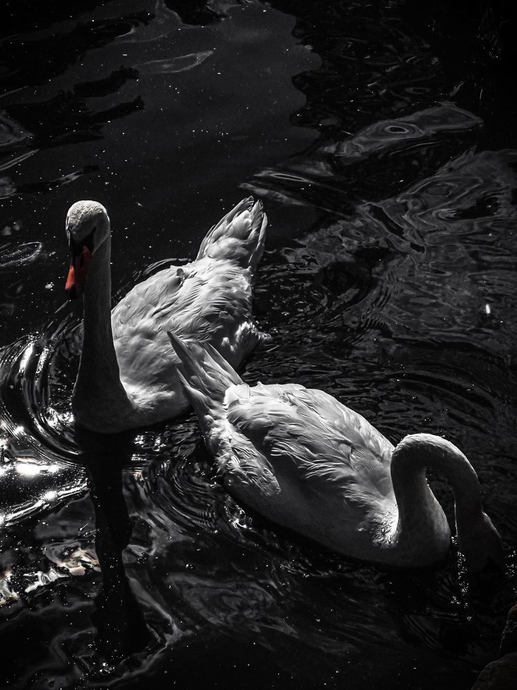 Photograph by Александр Пискарев