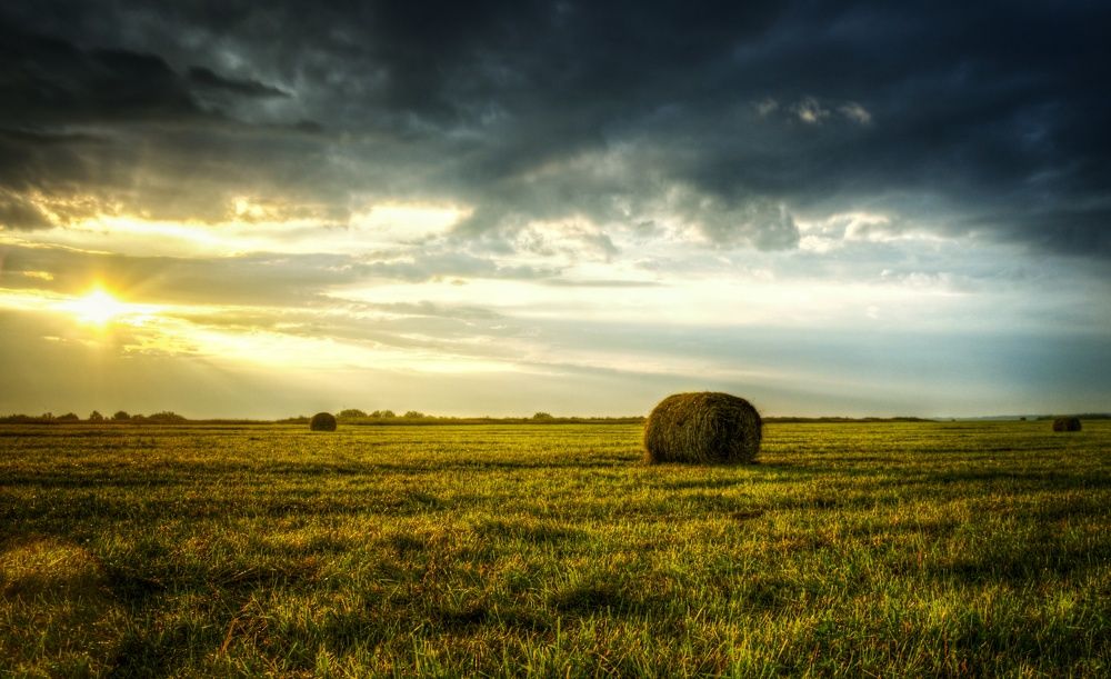 Фотография автора Вячеслав