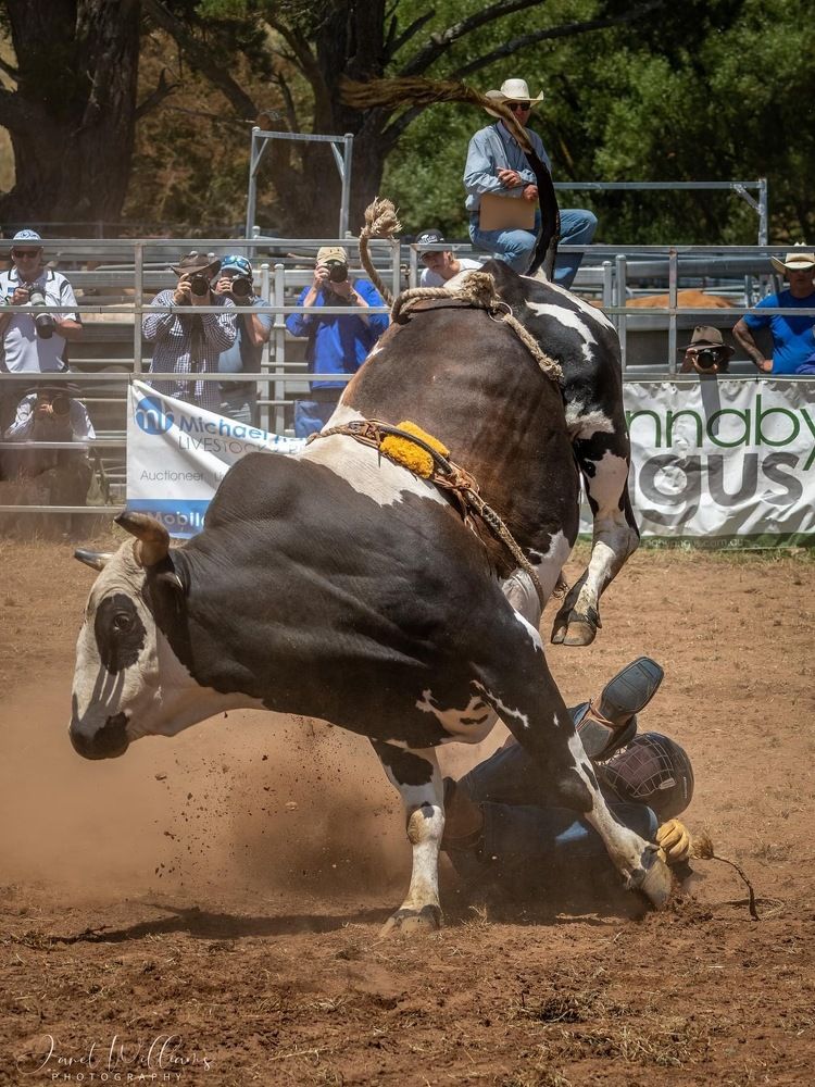 Photograph by Janet Williams