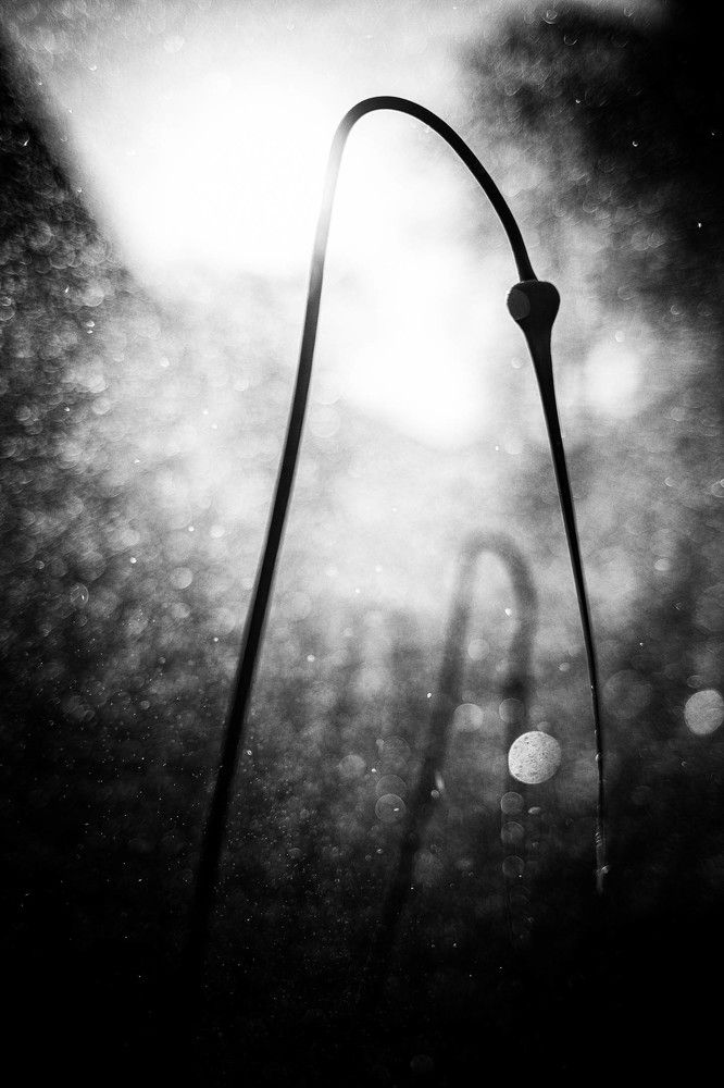 Фотография автора Josef Nový