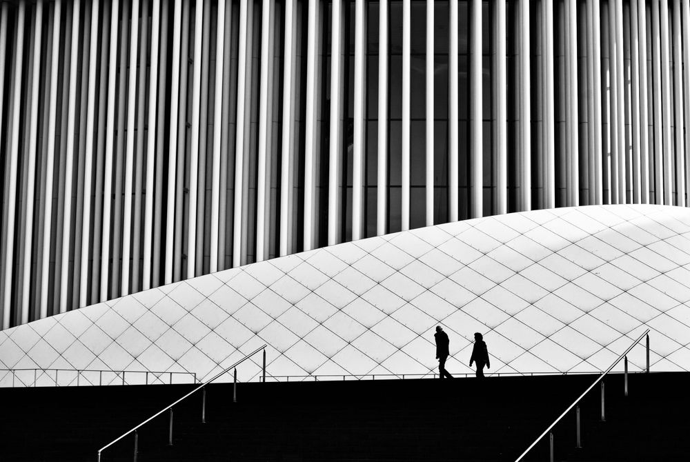 Photograph by Frank Proost