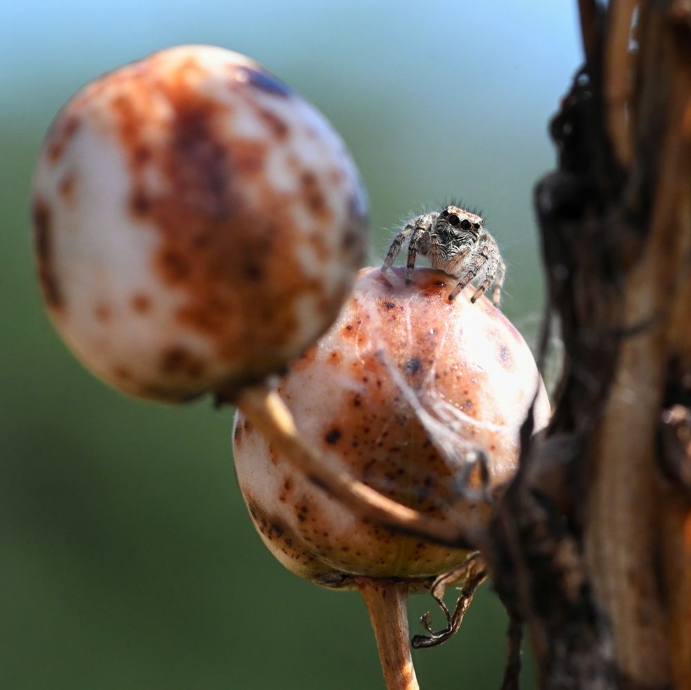 Photograph by Дмитрий Батагов