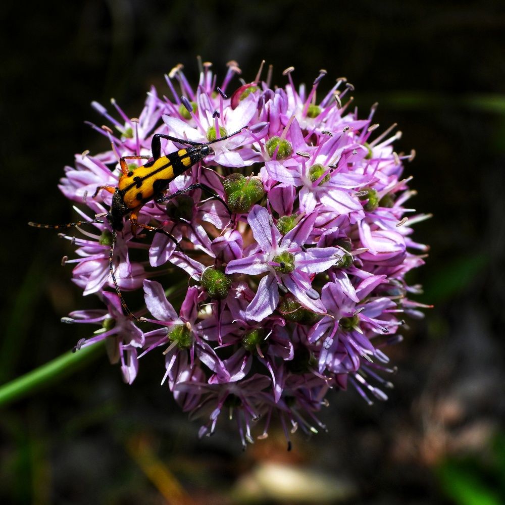 Photograph by Дмитрий Батагов