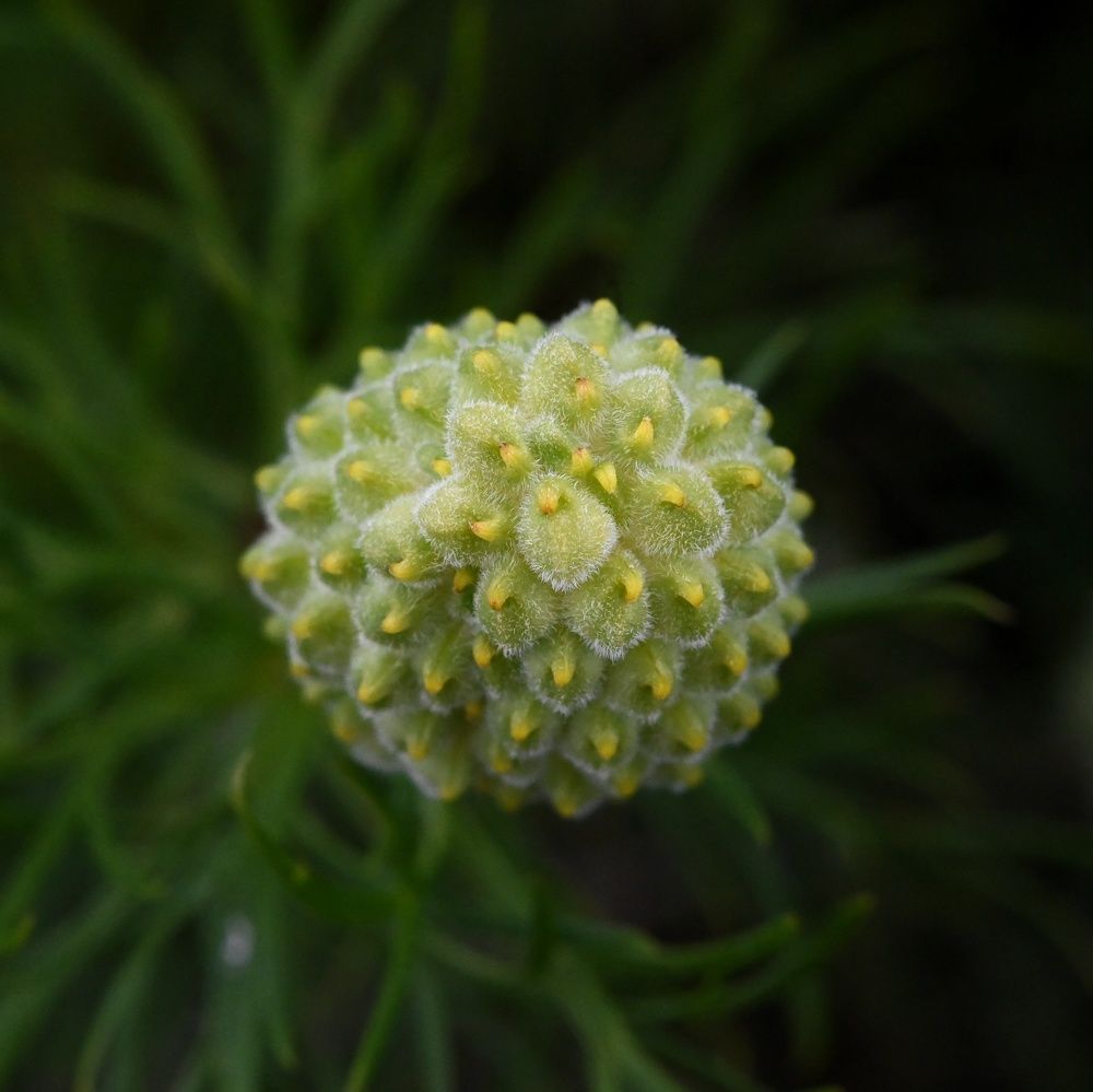 Photograph by Дмитрий Батагов