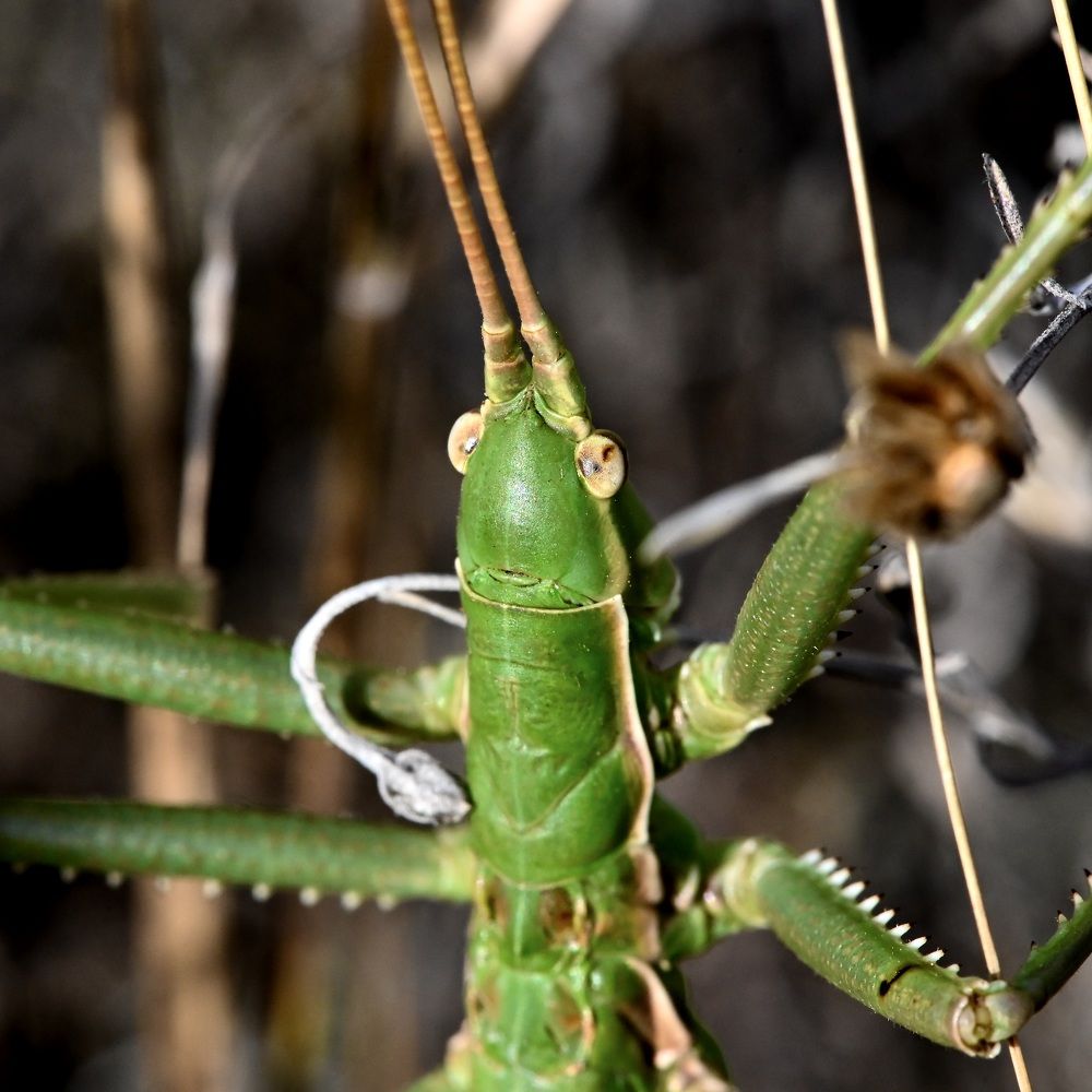 Photograph by Дмитрий Батагов