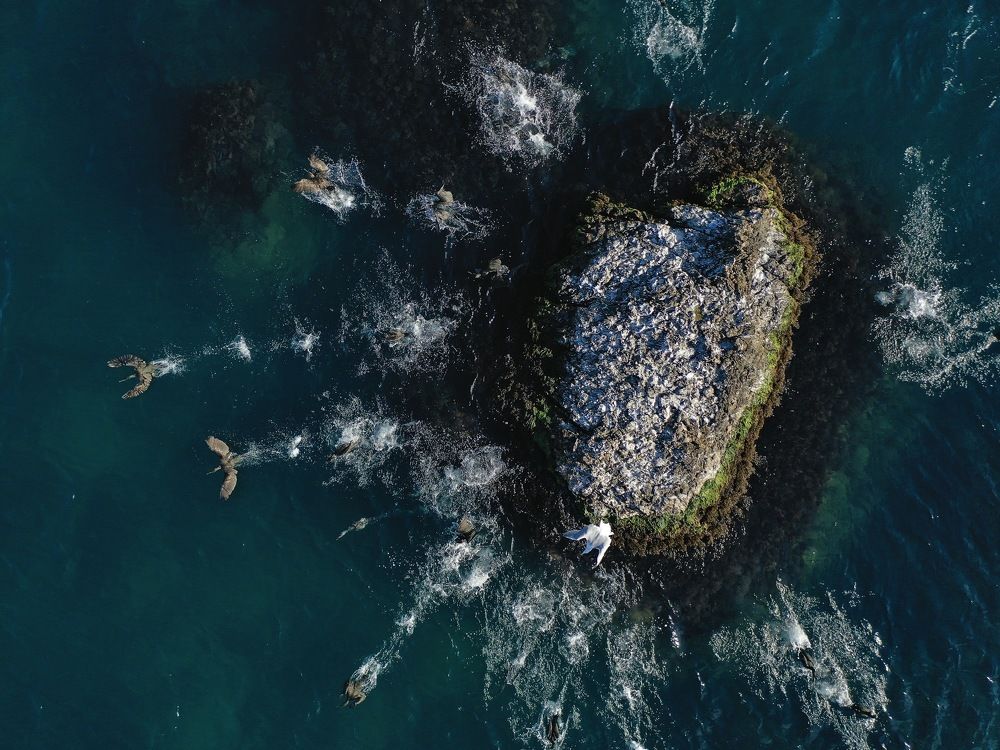 Photograph by Дмитрий Батагов