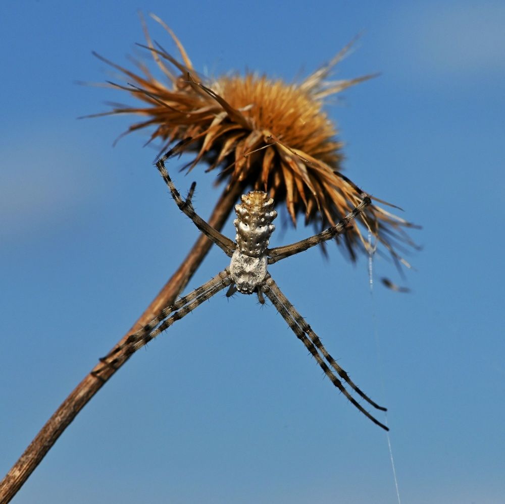 Photograph by Дмитрий Батагов