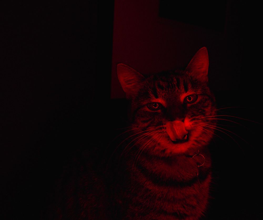 Фотография автора Алексей Сафаров