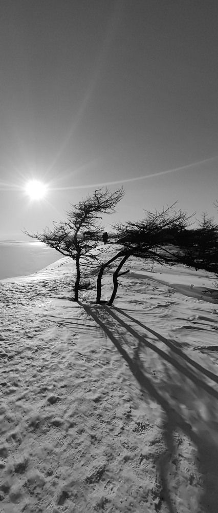 Photo #8875117