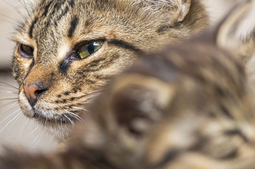 Photograph by Mahdi vagahri shorche