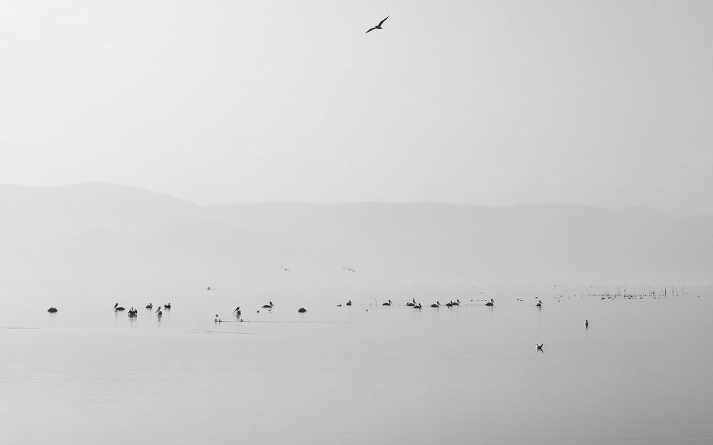 Photograph by Nurlan Tahirli