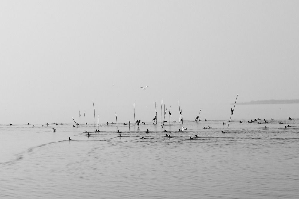 Photograph by Nurlan Tahirli