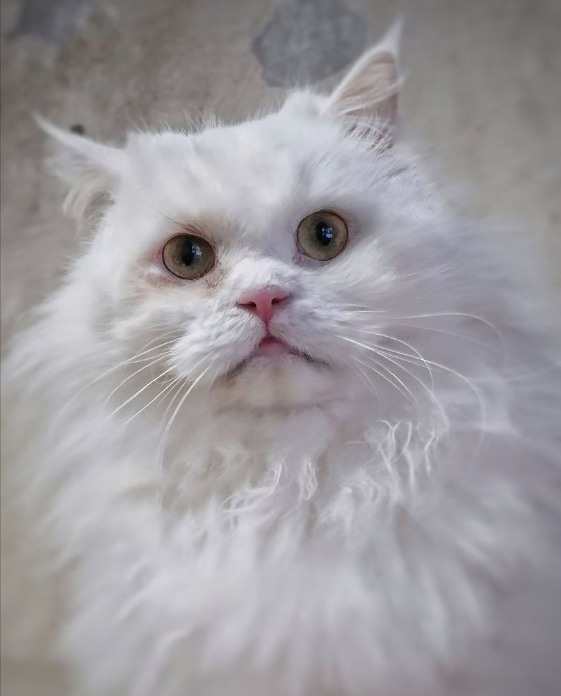 Photograph by Наталия Щербакова