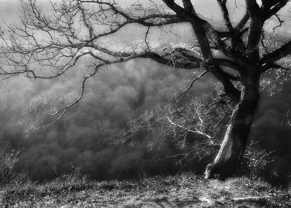 Photograph by  Владимир