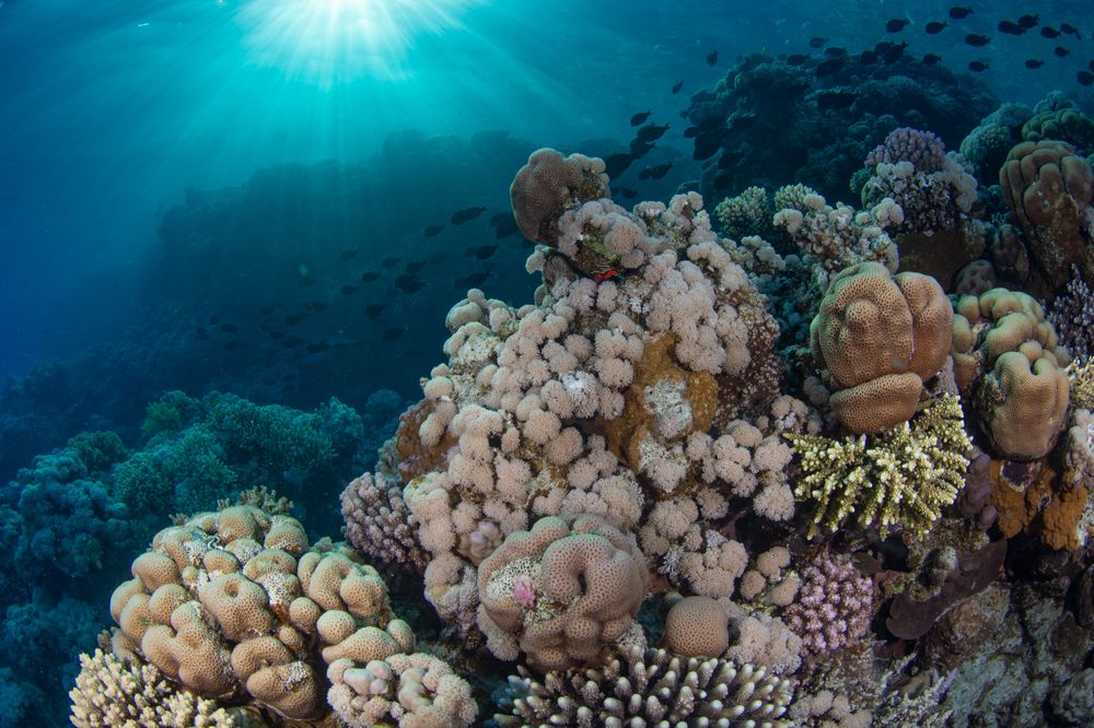 Photograph by Pam Murph