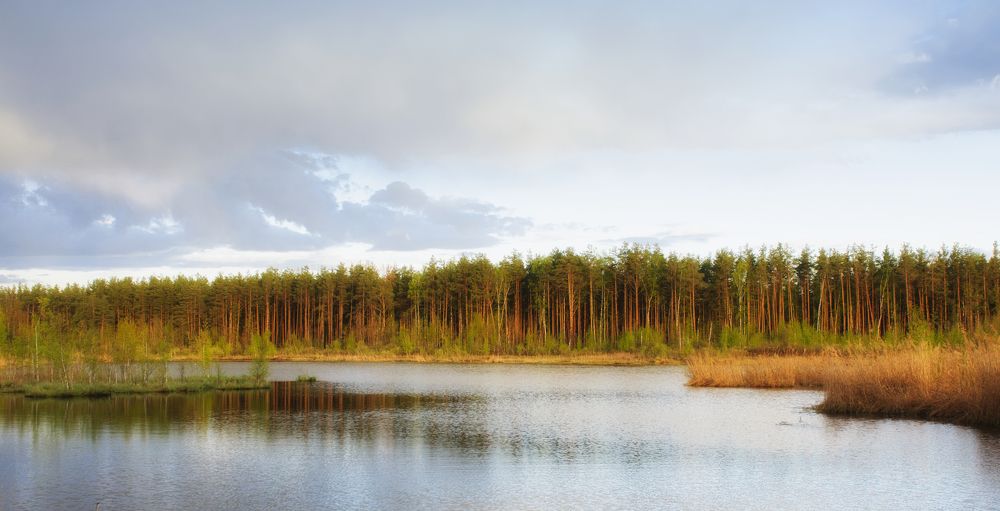 Photograph by Фёдор Куракин