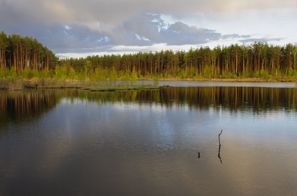 Photograph by Фёдор Куракин