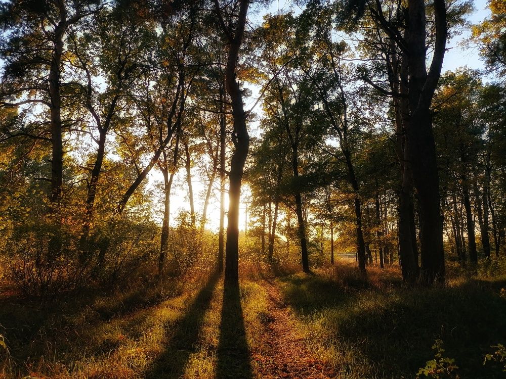 Photograph by Наталия Щербакова