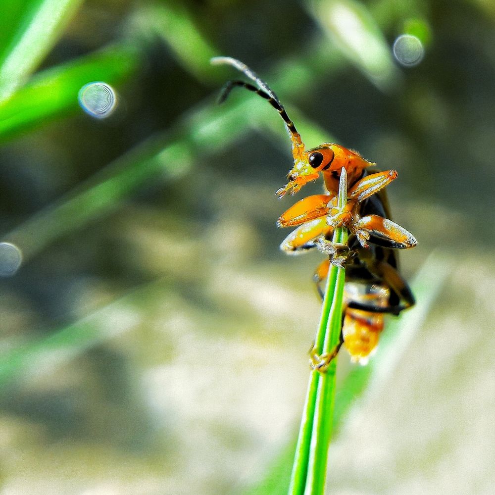 Photograph by Hamid Amiri