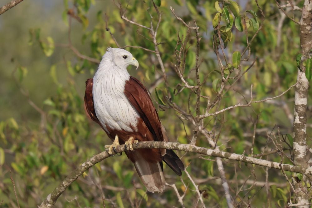 Photograph by Ranjit Shewale