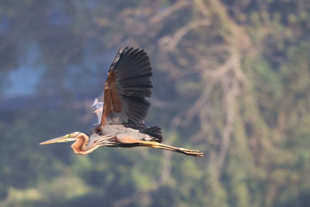 Photograph by Ranjit Shewale