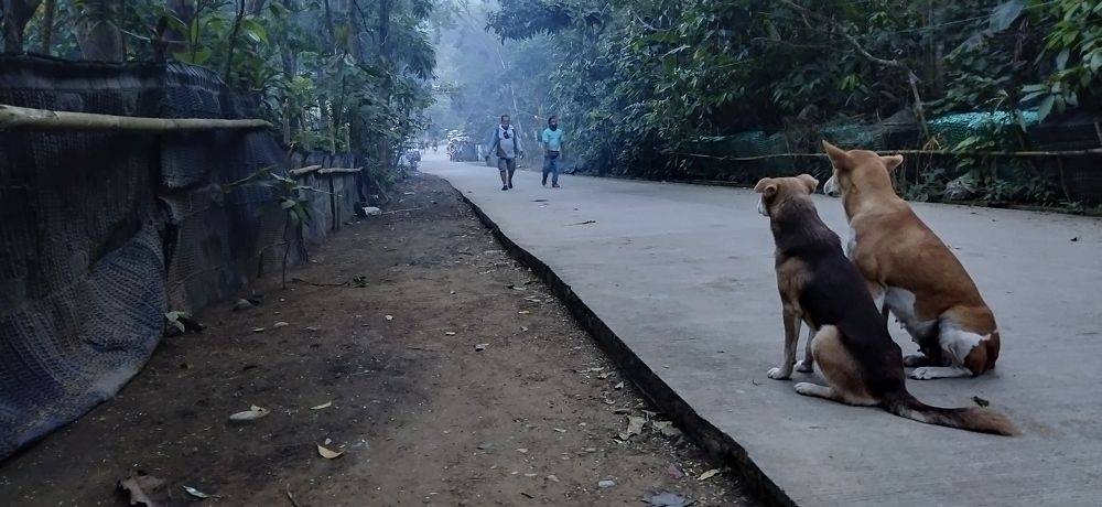 Photograph by Efren B. Victorino