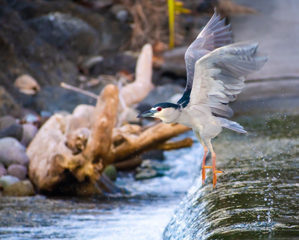 Photograph by FRANCIS VELAYOUDON