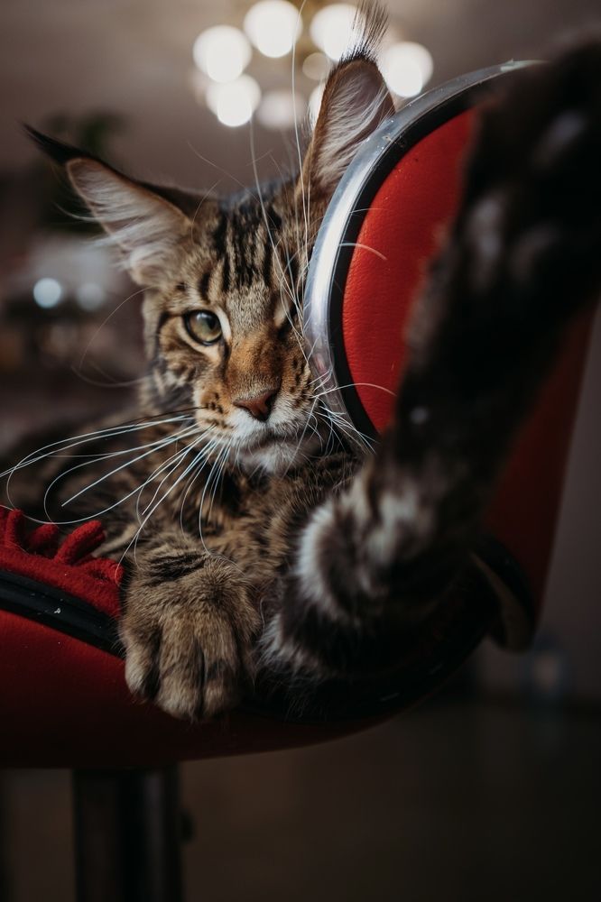 Photograph by Кладкевич Оксана