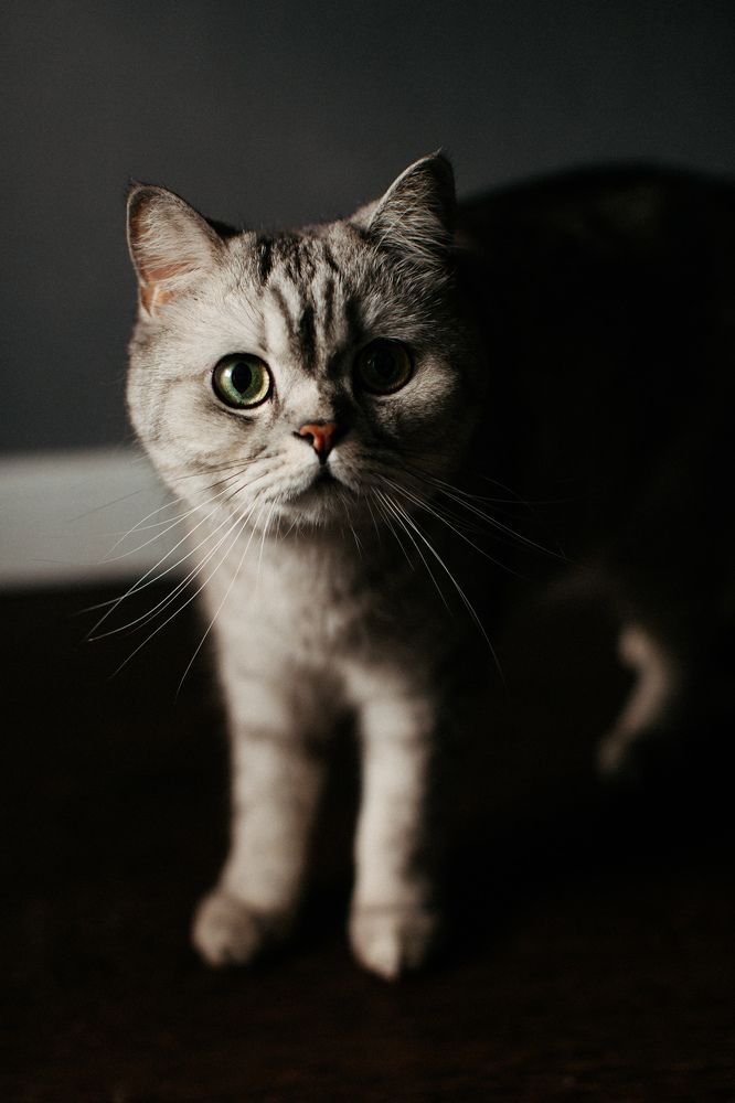 Photograph by Кладкевич Оксана