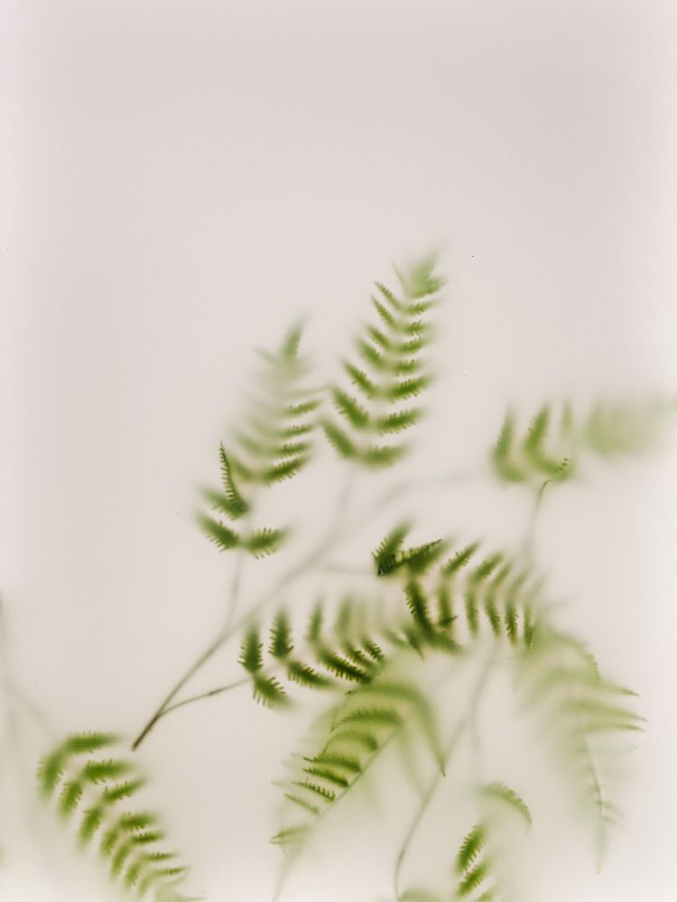 Photograph by Кладкевич Оксана