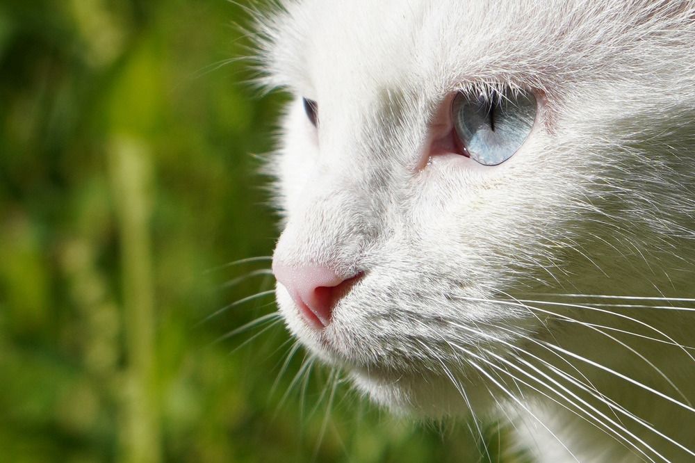 Photograph by Марина Виноградова