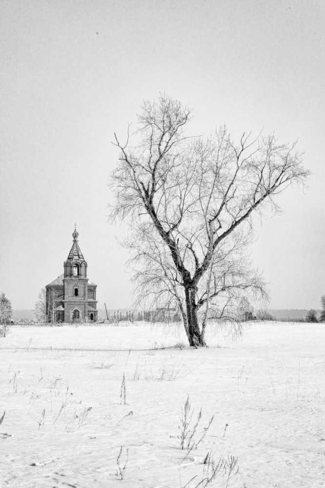 Фотография автора Антон Белобородов