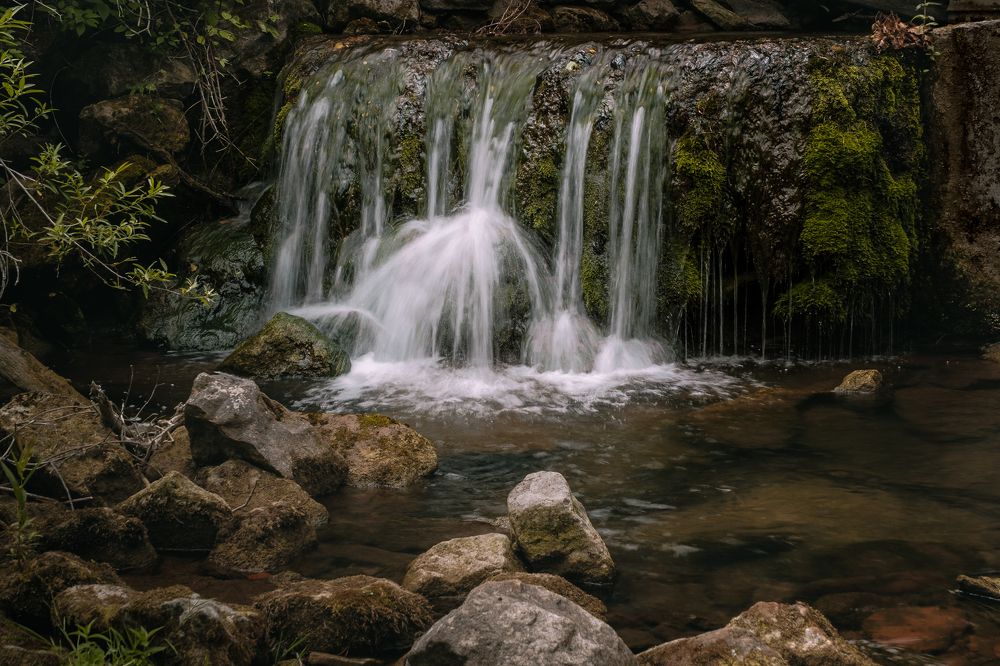 Photograph by Greg Noakes