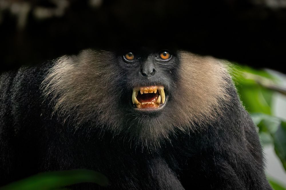 Фотография автора Prejul Prakash