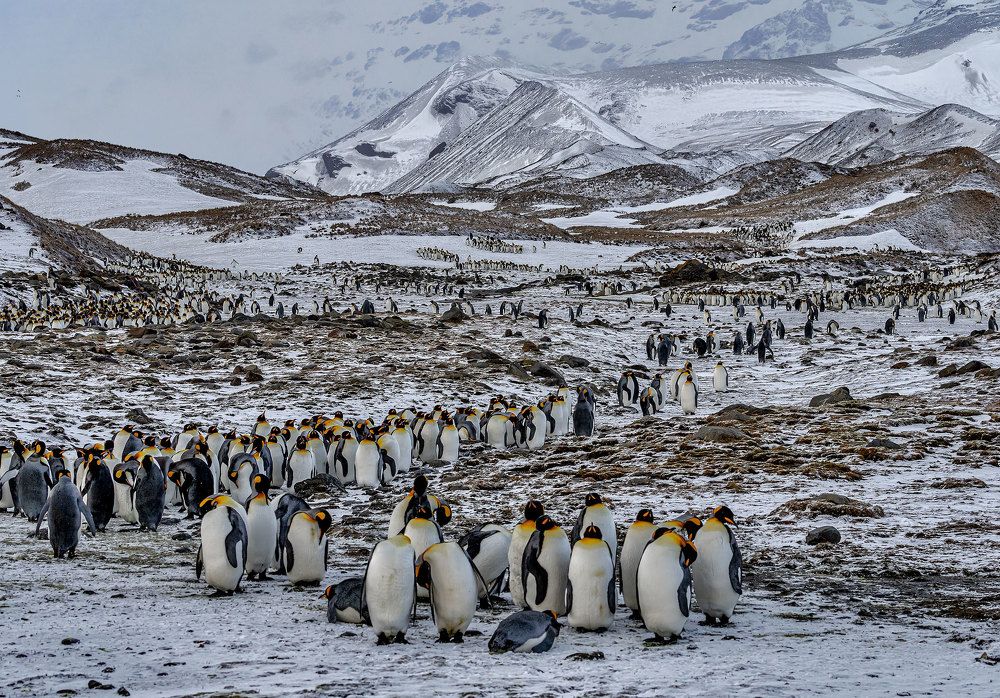 Фотография автора andrey gagarin