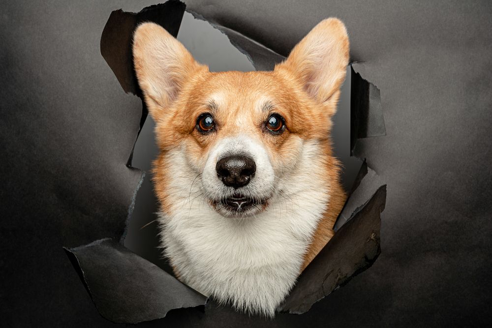 Photograph by Nadya Kulagina