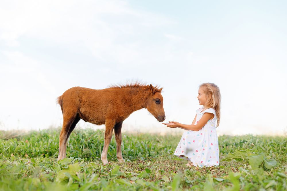 Photograph by Элизабет Гусакова