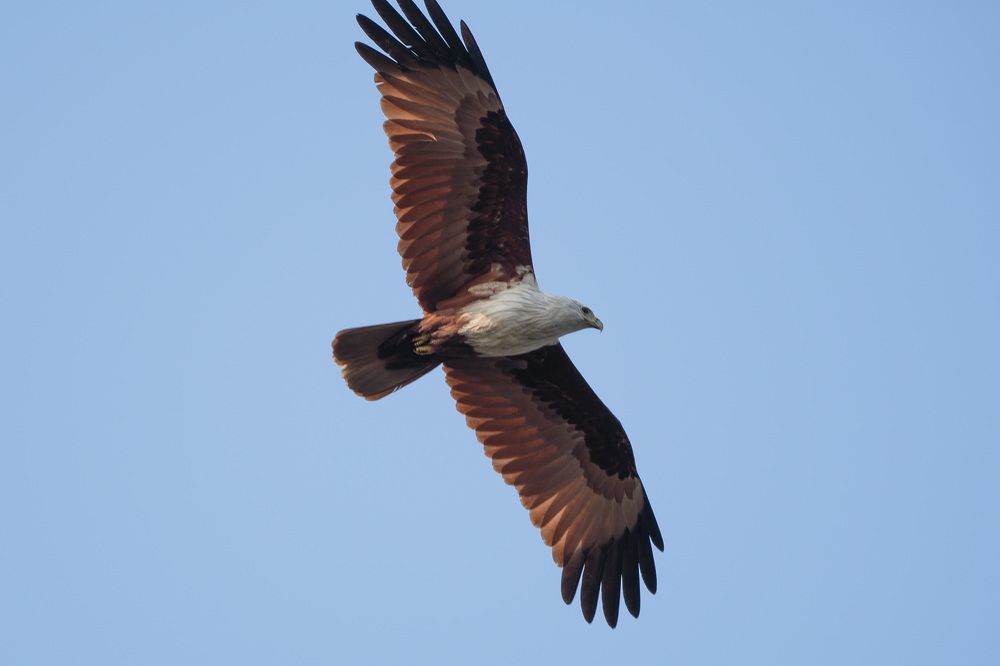 Photograph by Santhosh GVN