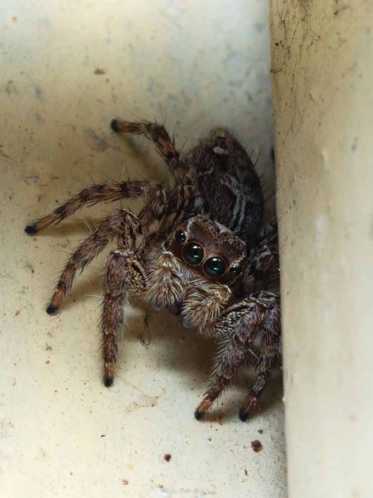 Photograph by Santhosh GVN