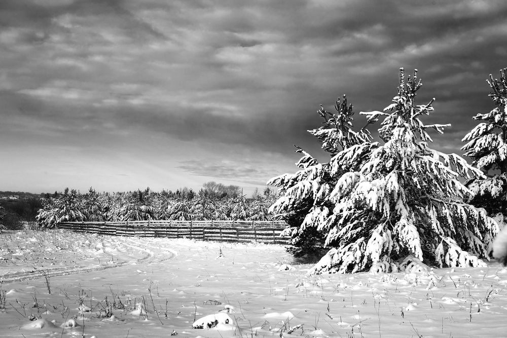 Фотография автора Александр Степочкин