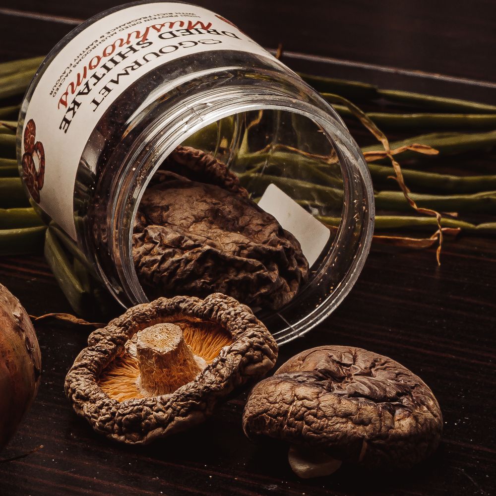 Photograph by Mahmoud Mohamed