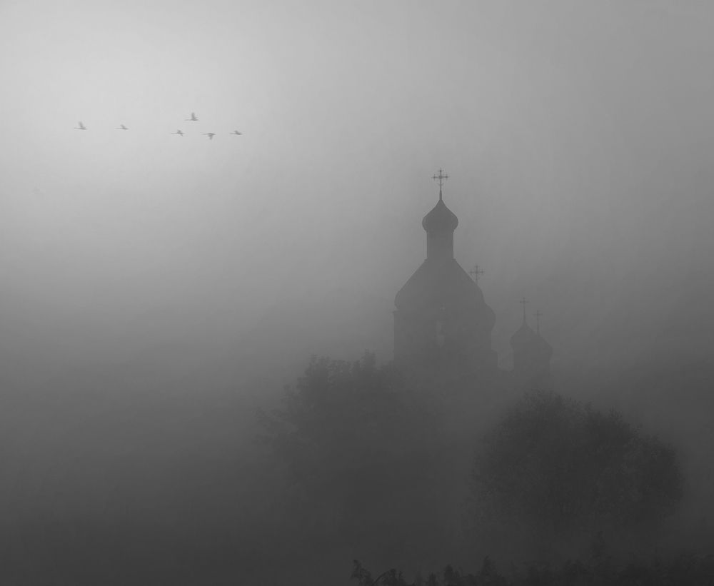 Фотография автора Александр Степочкин