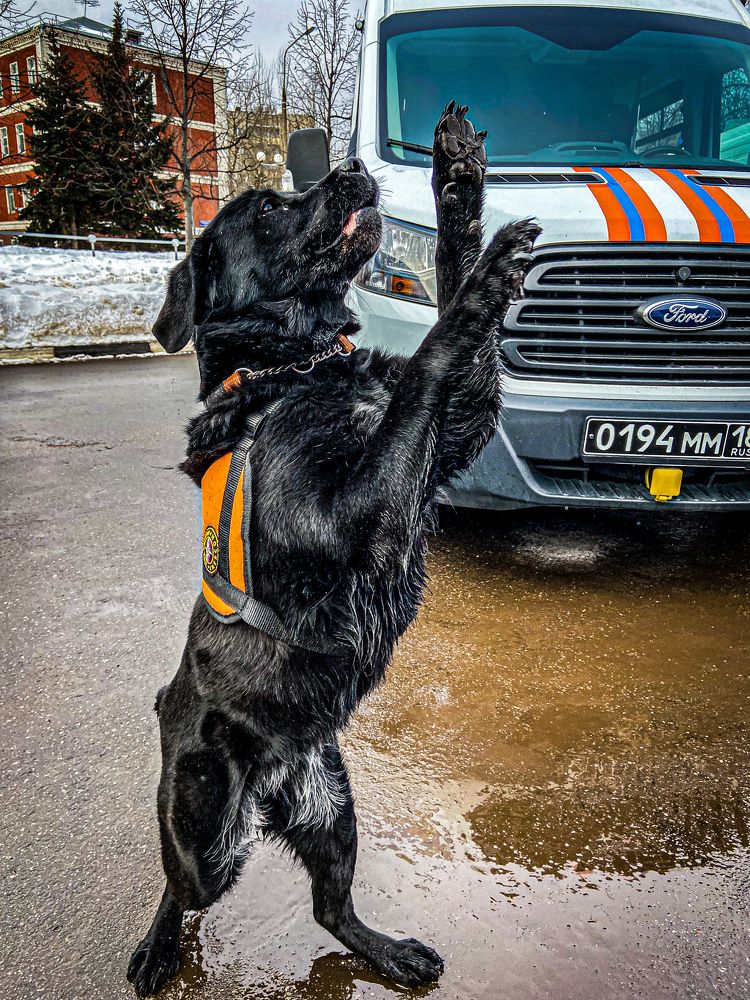 Photograph by Сергей Лашнев