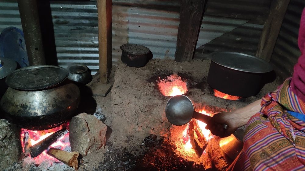 Photo #8875815