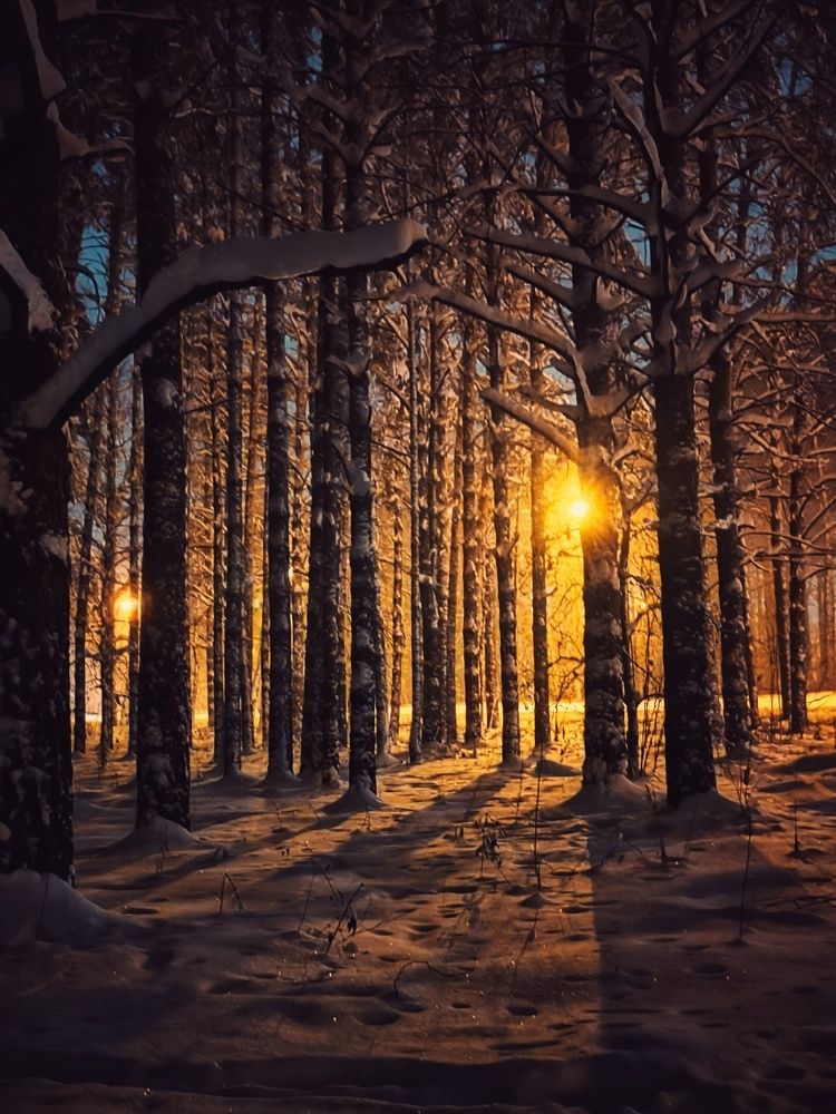 Сибирь, сезон волшебства