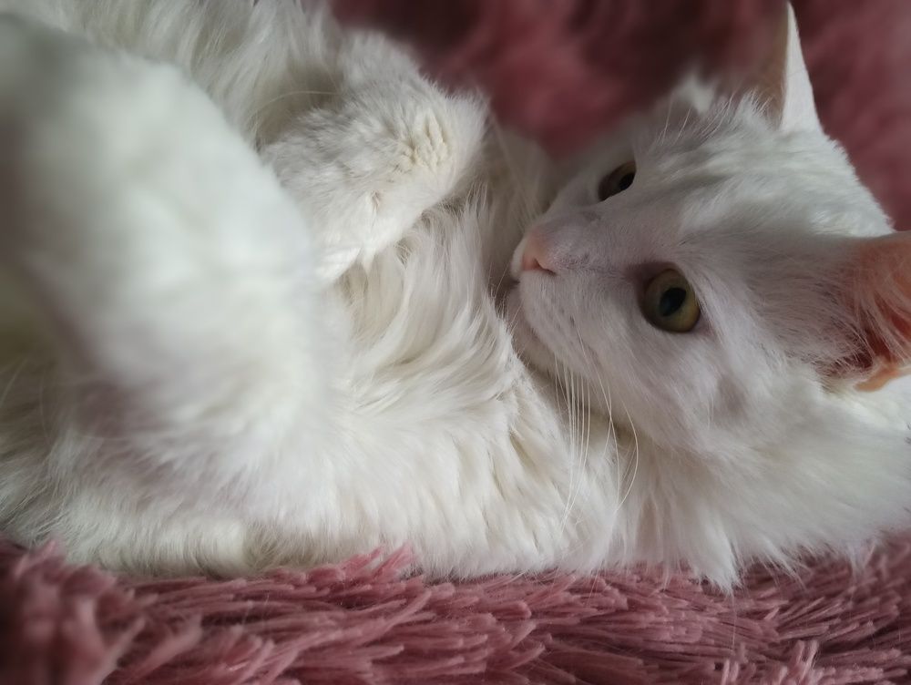 Photograph by Natalya Guseva